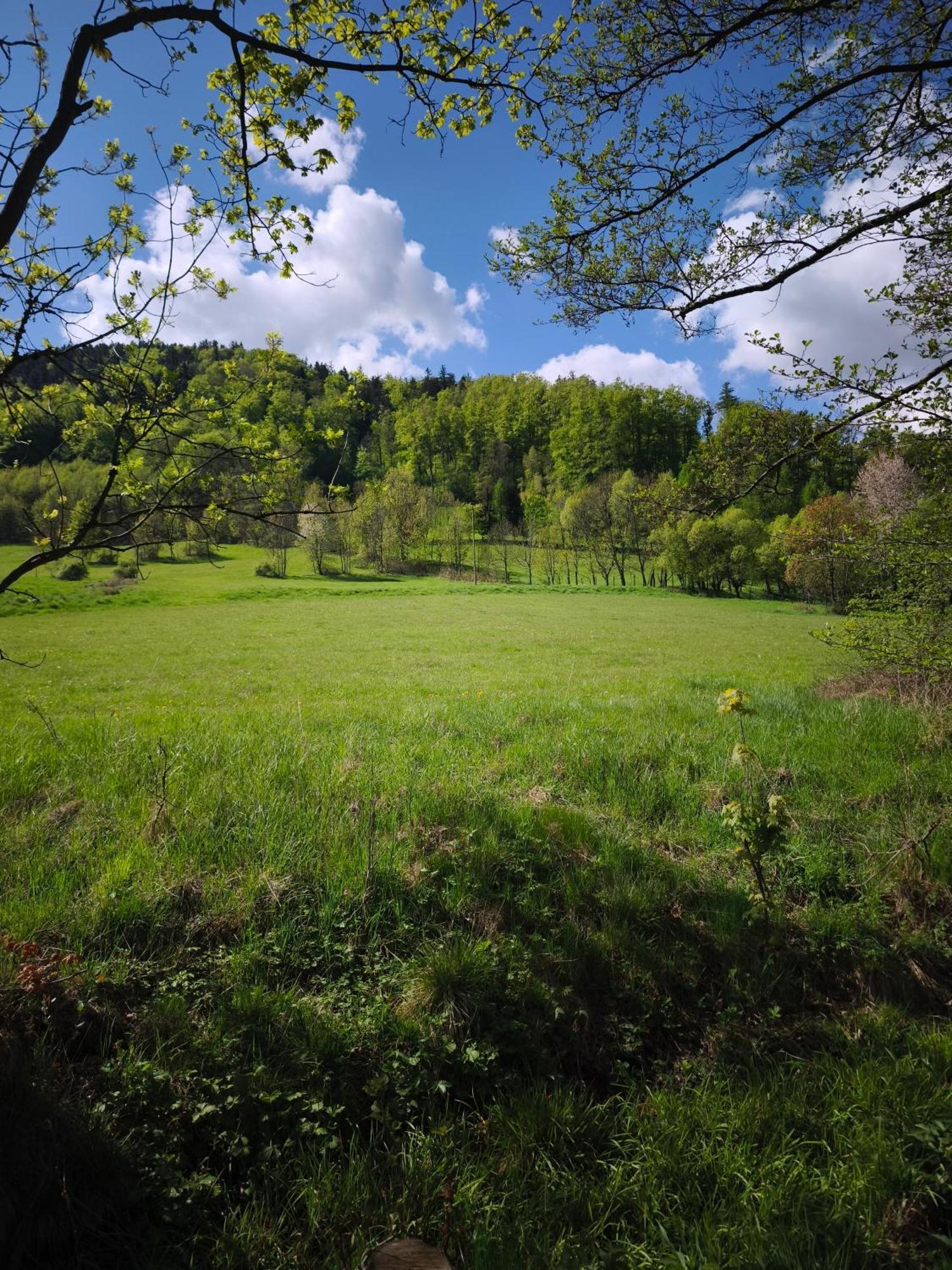 Mia Domo - Wypoczynek W Gorach Suchych, Kamiennych I Sowich Villa Gluszyca Dış mekan fotoğraf